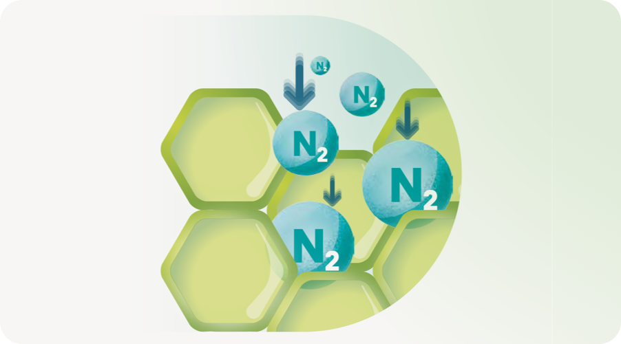 Metaboliten-Förderung