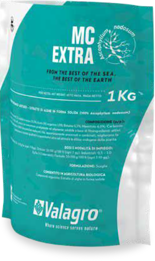 Packshot
