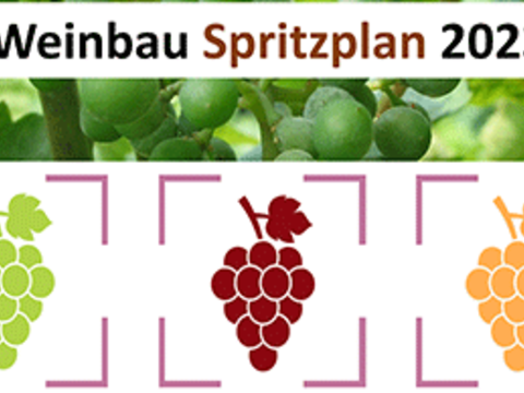 Weinbau Spritzplan 2023