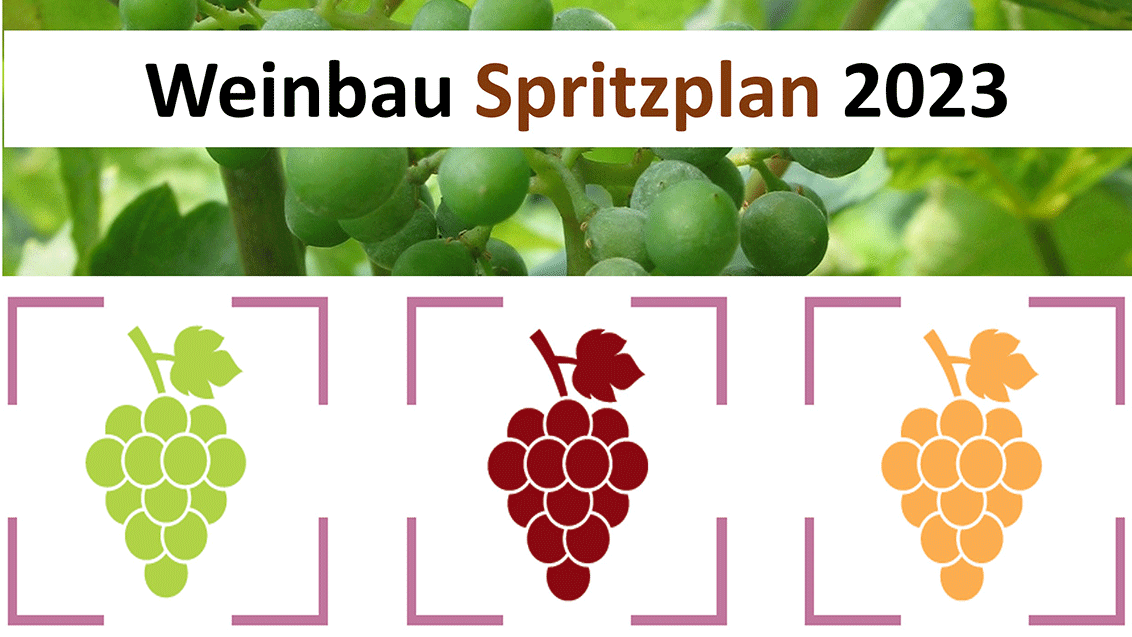 Weinbau Spritzplan