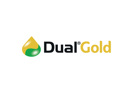 Dual Gold