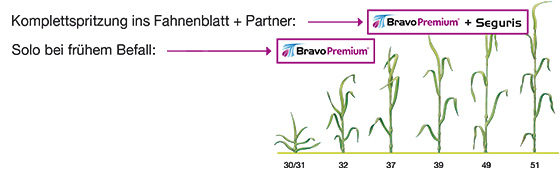 Bravo Premium Anwendung