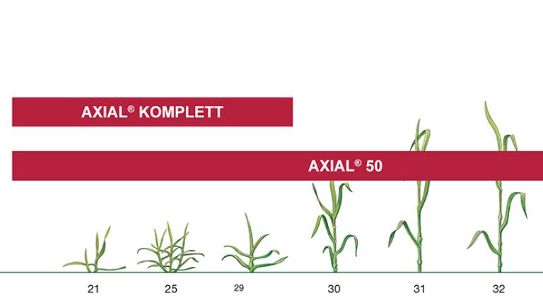 Axial Komplett Anwendung