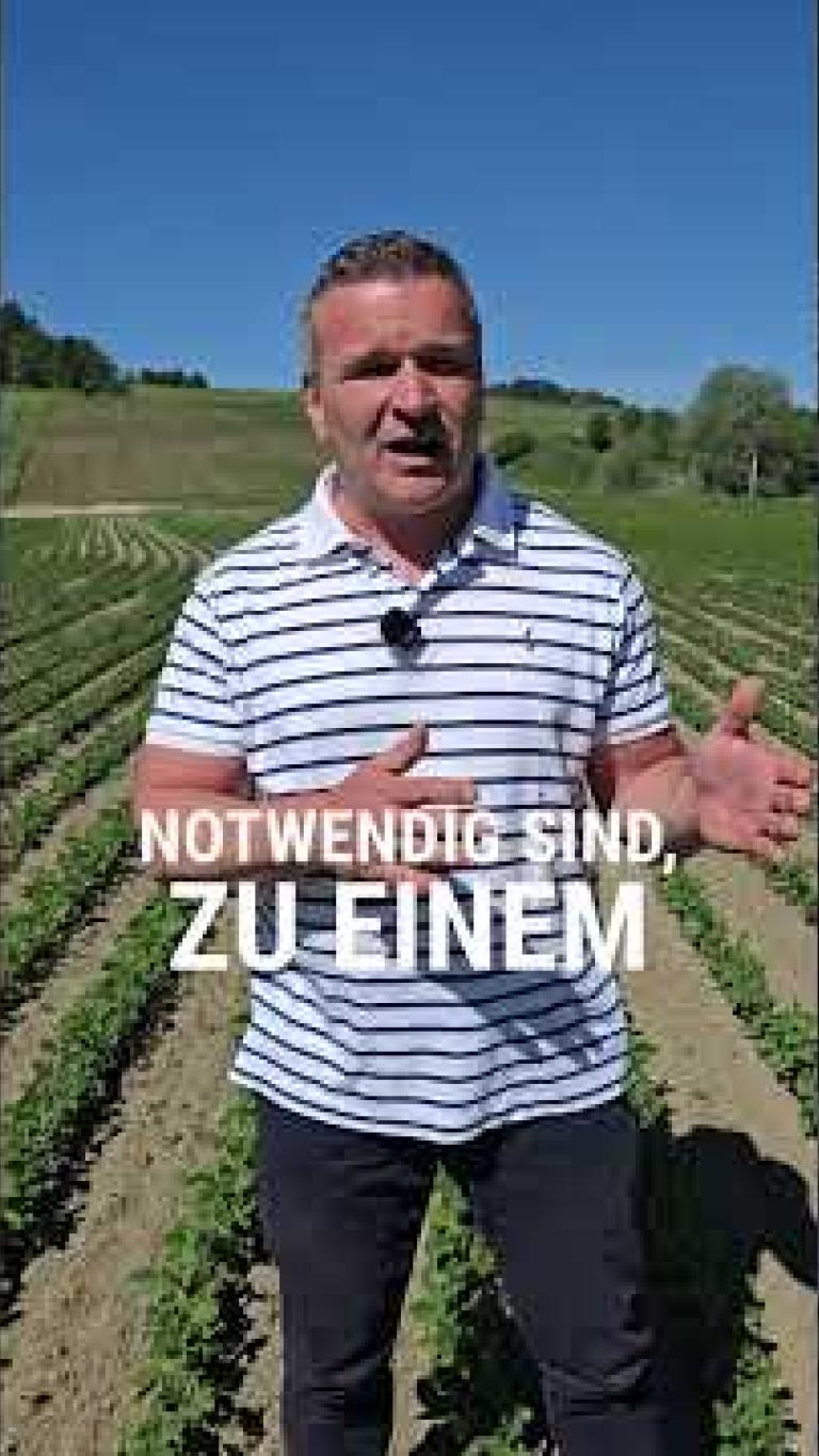 Österreich | Soja vor Stress schützen und optimal mit N versorgen