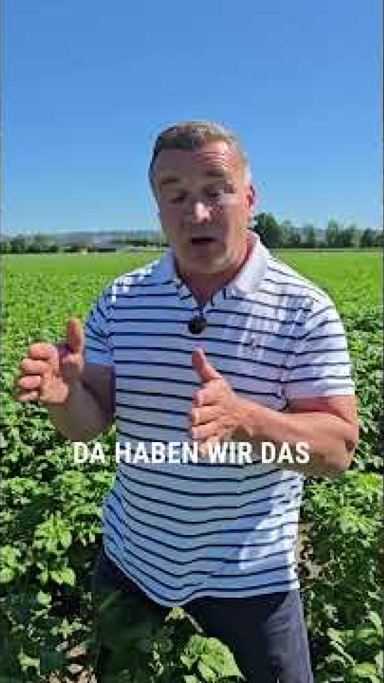 Österreich | Phytophthora- und Alternariaschutz in Kartoffel - von Ing. Franz Rosenmayr