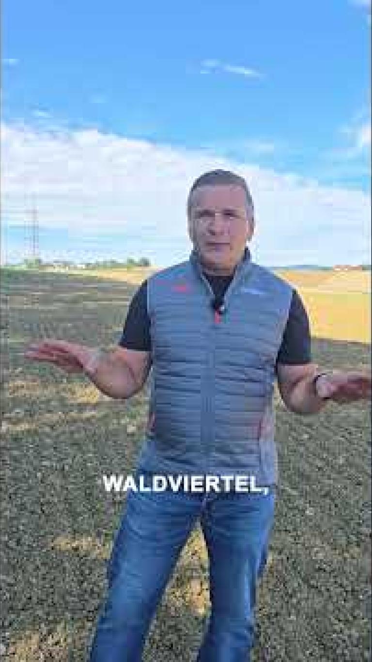 Österreich | Herbstunkrautbekämpfung im Getreide
