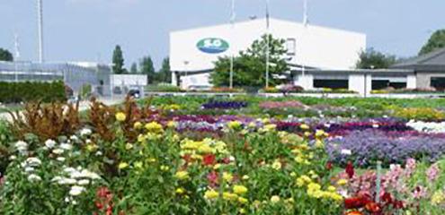 Standort Kleve