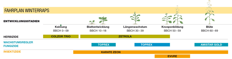 Rapsfahrplan Pflanzenschutz
