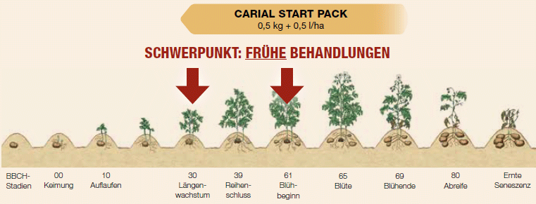 Carial Start Pack Anwendung