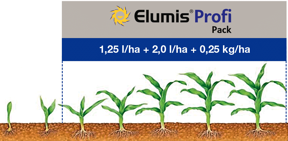 Anwendung Elumis Profi Pack