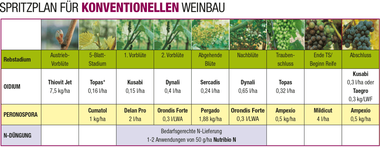 SPRITZPLAN FÜR KONVENTIONELLEN WEINBAU